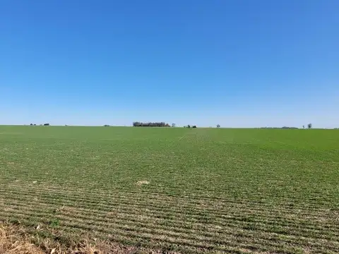 Venta Campo 11 Ha - Roldán