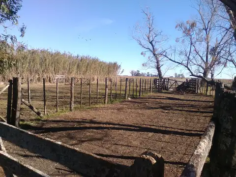 Campo Giribone