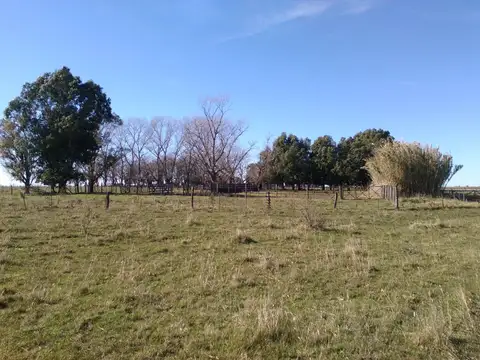 Campo Giribone