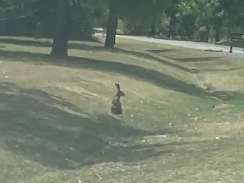 Impresionante Oportunidad