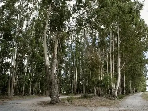 Terreno en Venta de 3400,0 m2