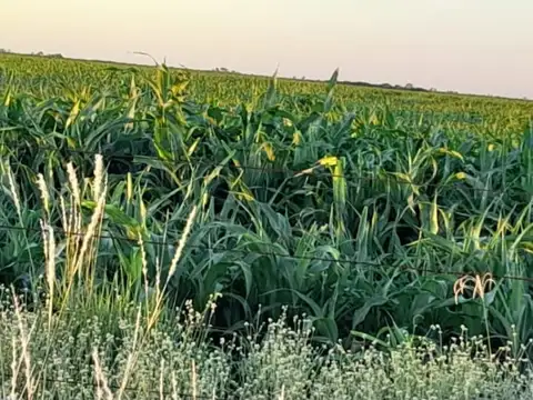 2500 ha - A tranquera cerrada -Malbran - Santiago del Estero