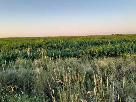 2500 ha - A tranquera cerrada - Malbran - Sgo del Estero