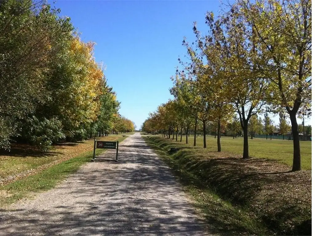 Terreno - 160  m² | INTERNO