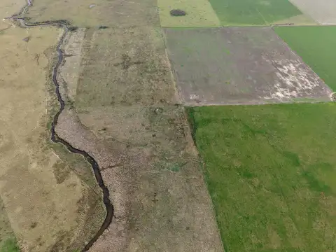 Campo de uso mixto en Santa Teresa con 201,5 hectareas