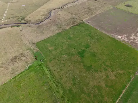 Campo de uso mixto en Santa Teresa con 201,5 hectareas