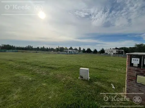 Lote a laguna en San Juan Chico