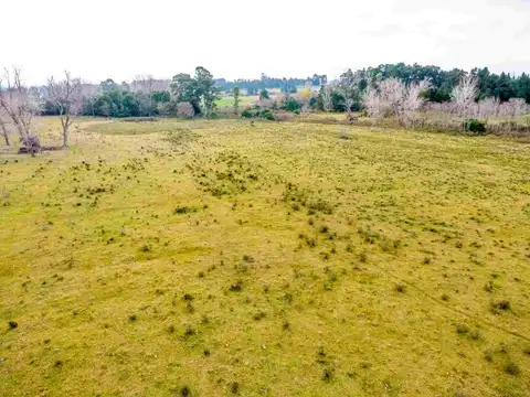 Venta de campo 3Ha. en Rincon de Pando, Canelones