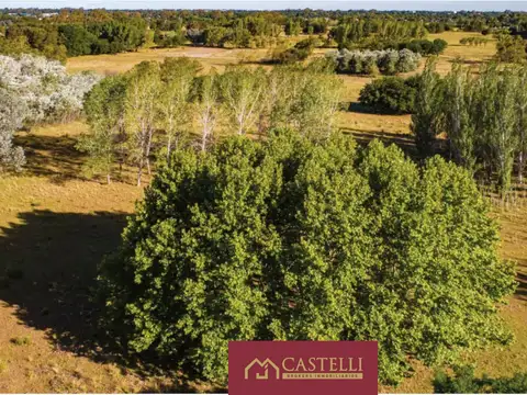 AZZURRA TORTUGAS LAGUNA