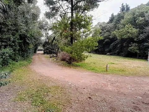Camino General Belgrano  y 444