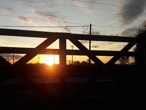 Terreno en Venta de 1290,0 m2