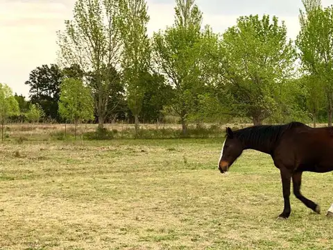 Terreno en Venta en Del Viso, USD 82.000