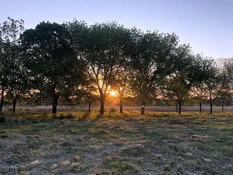 Terreno en Venta de 758,0 m2