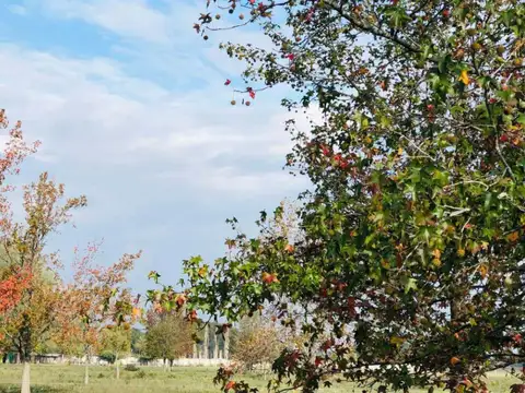 Terreno en Venta en Del Viso, USD 82.000