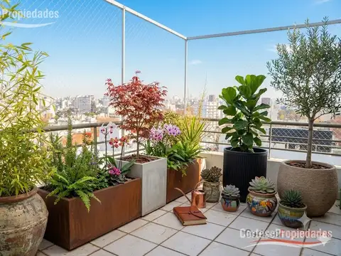 Departamento en venta en Palermo, 3 ambientes, terraza, seguridad, pileta