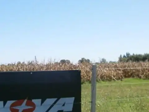 Venta de Campo en Baigorrita (37,5 Hect)