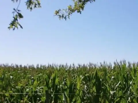 El Verdun Baigorrita