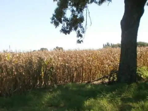 El Verdun Baigorrita