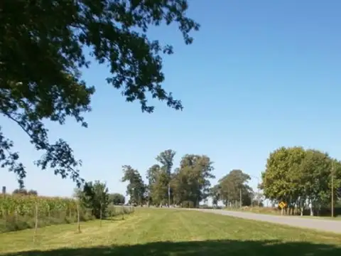 El Verdun Baigorrita