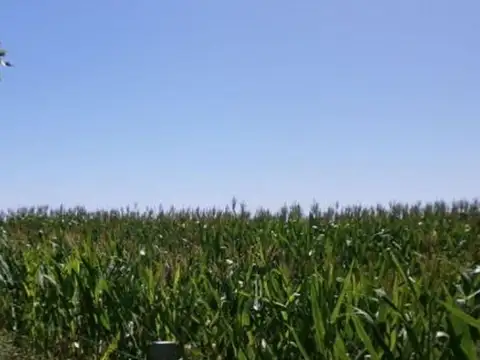 El Verdun Baigorrita