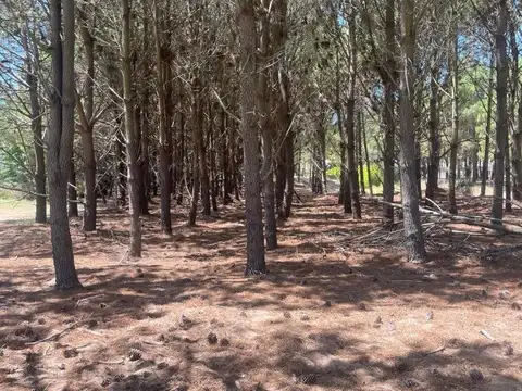 Terreno en Venta, FOS 0,25