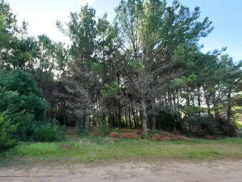 Terreno en Venta de 1017,0 m2