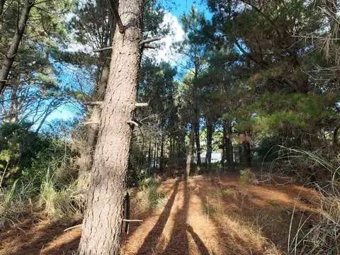 Terreno en Venta de 1017,0 m2