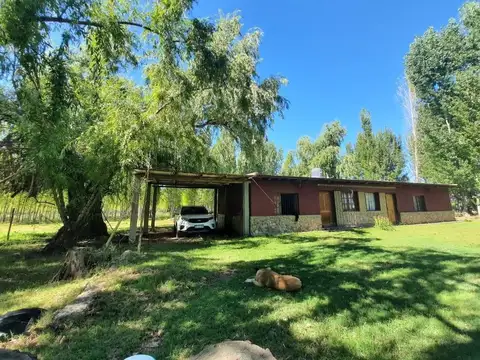Venta de Finca/campo en Tunuyan