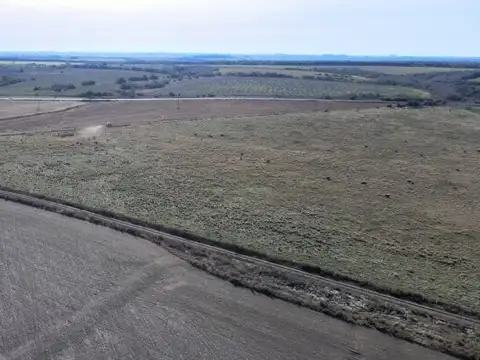Campo mixto con casa y galpon, 78,5 has. Sobre ruta