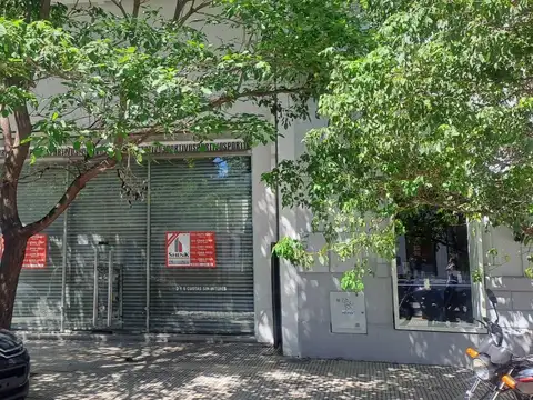 Local - Palermo