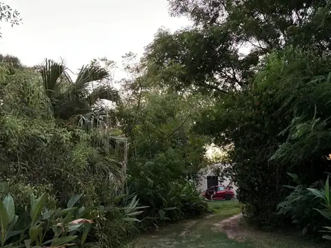 Las Acacias 3300