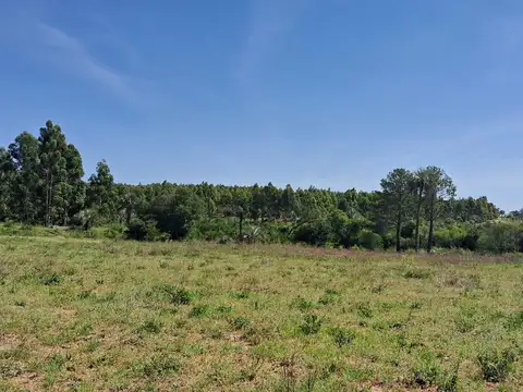Campo en Colonia Adela