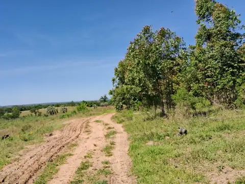 Campo en Colonia Adela