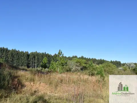 Camino rural s/n - Estancia
