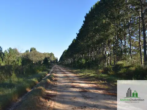 Campo en venta de 8.5ha ubicado en Puerto Yeruá