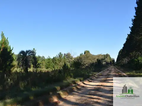 Camino rural s/n - Estancia 100