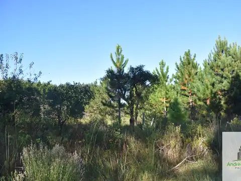 Campo en venta de 8.5ha ubicado en Puerto Yeruá