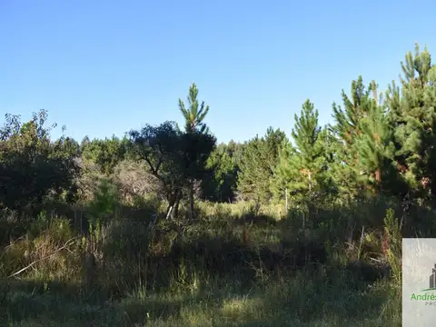 Camino rural s/n - Estancia