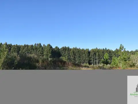 Campo en venta de 8.5ha ubicado en Puerto Yeruá