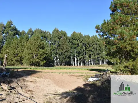 Campo en venta de 8.5ha ubicado en Puerto Yeruá