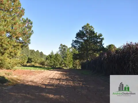 Camino rural s/n - Estancia 100