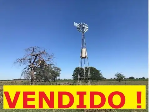 Campo mixto con mejoras VENDIDO  