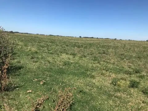 Campo en Venta de 42  ha