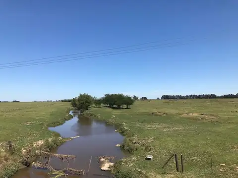 Campo en Venta de 42  ha