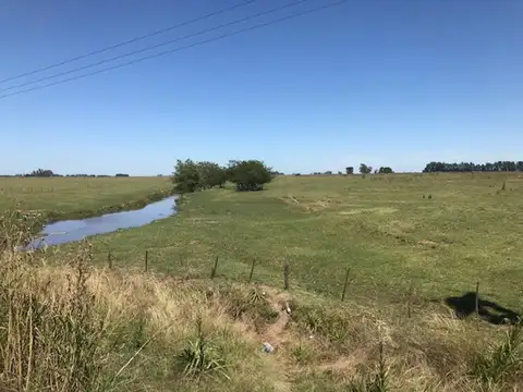 Campo en Venta Chacra