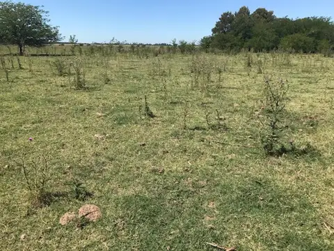 Campo en Venta Chacra