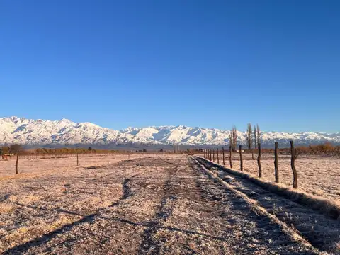 LOTE EN BARRIO LA MERLINA EN VALLE DE UCO MENDOZA