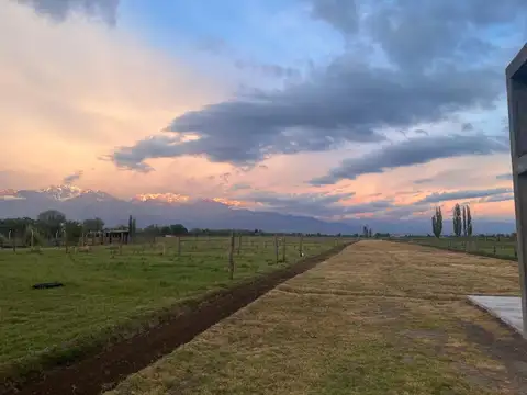 Terreno en Venta en La Consulta, USD 60.900