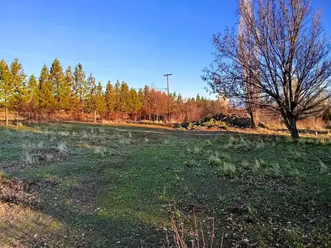 Terreno en Venta de 427,0 m2