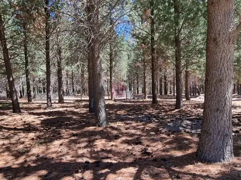 Terreno en Venta en San Martin de los Andes, USD 95.000